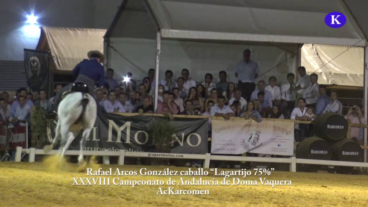 Rafael Arcos González “Lagartijo 75%”   XXXVIII Campeonato de Andalucía de Doma Vaquera Carmona
