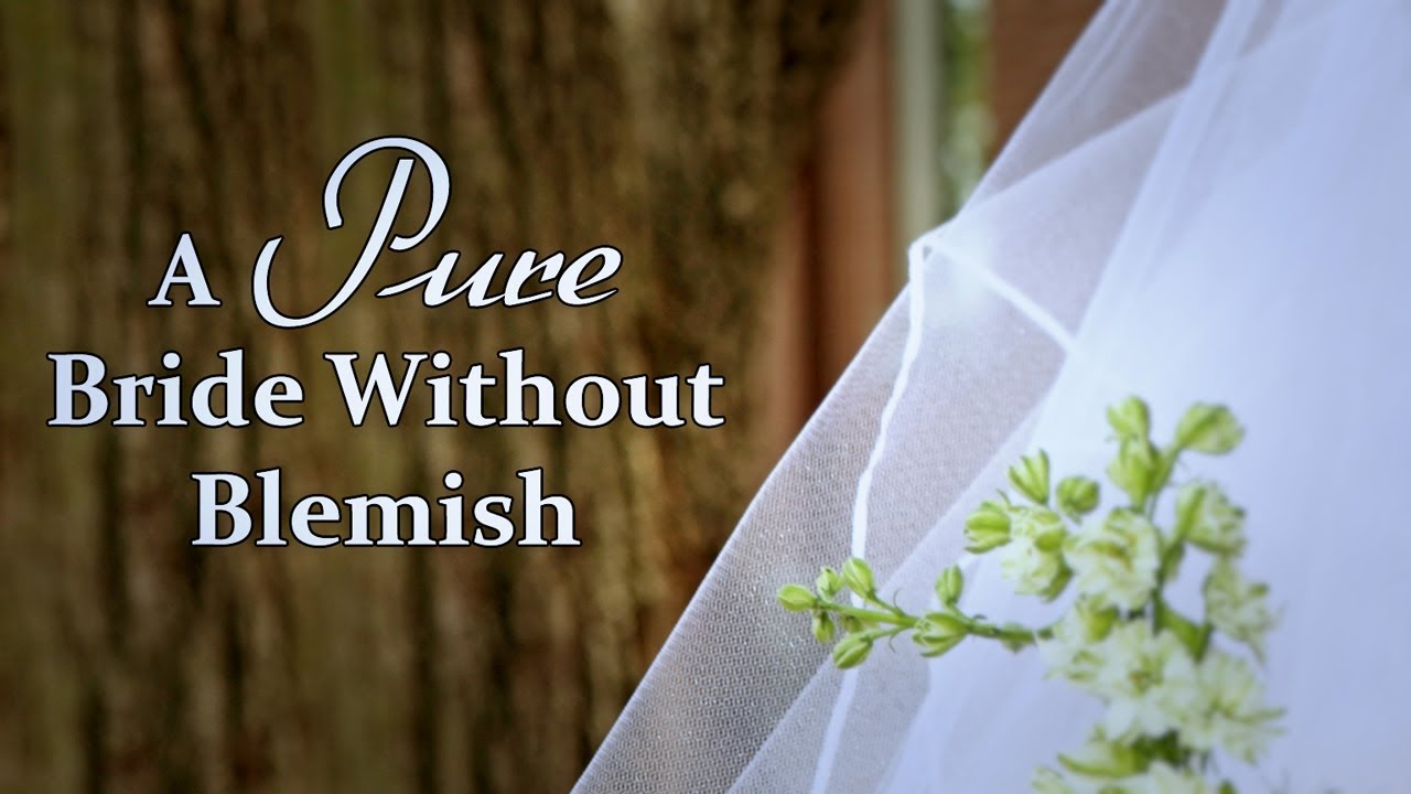 A Pure Bride Without Blemish - Tim Conway