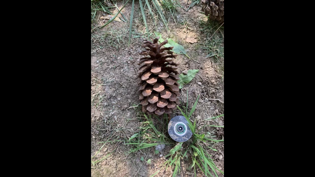 Land Art Video Project Brandon Bae