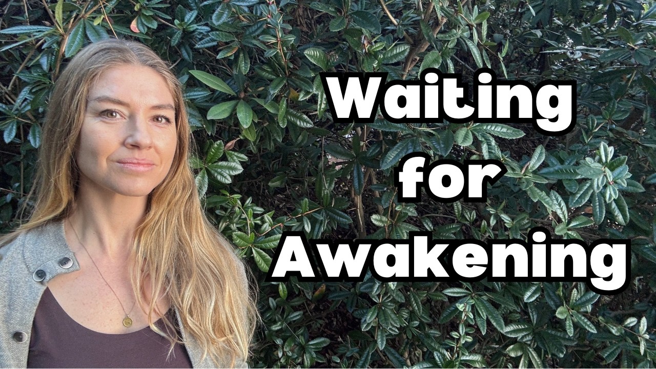 non-duality will never arrive in the future