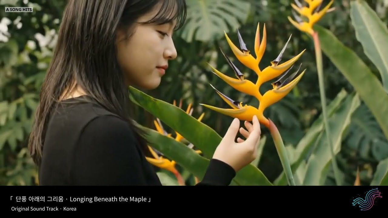 단풍 아래의 그리움 · Longing Beneath the Maple : Official Korean MV Drama Series #kdrama #kballad