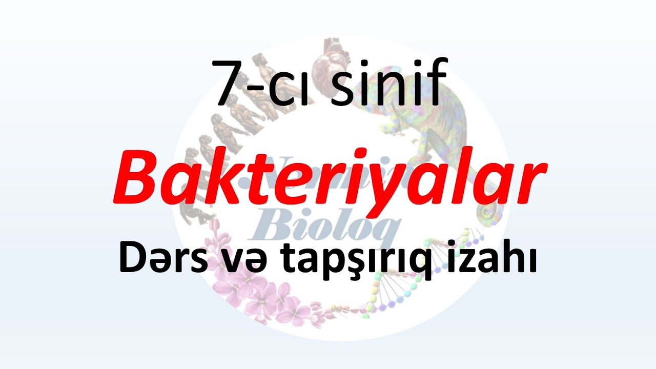 Biologiya 7-ci sinif, Bakteriyalar dərs və tapşırıq izahı