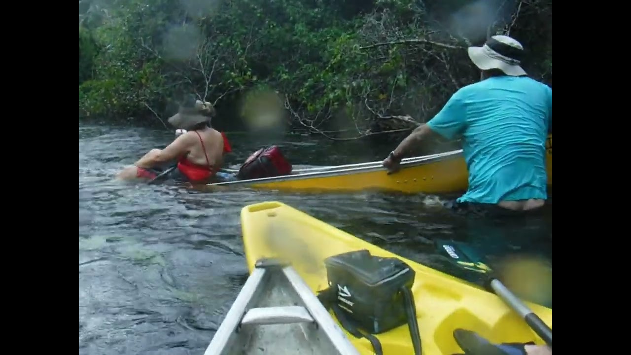 My first canoe paddle trip and first time on a Florida river also intense rain and thunder.