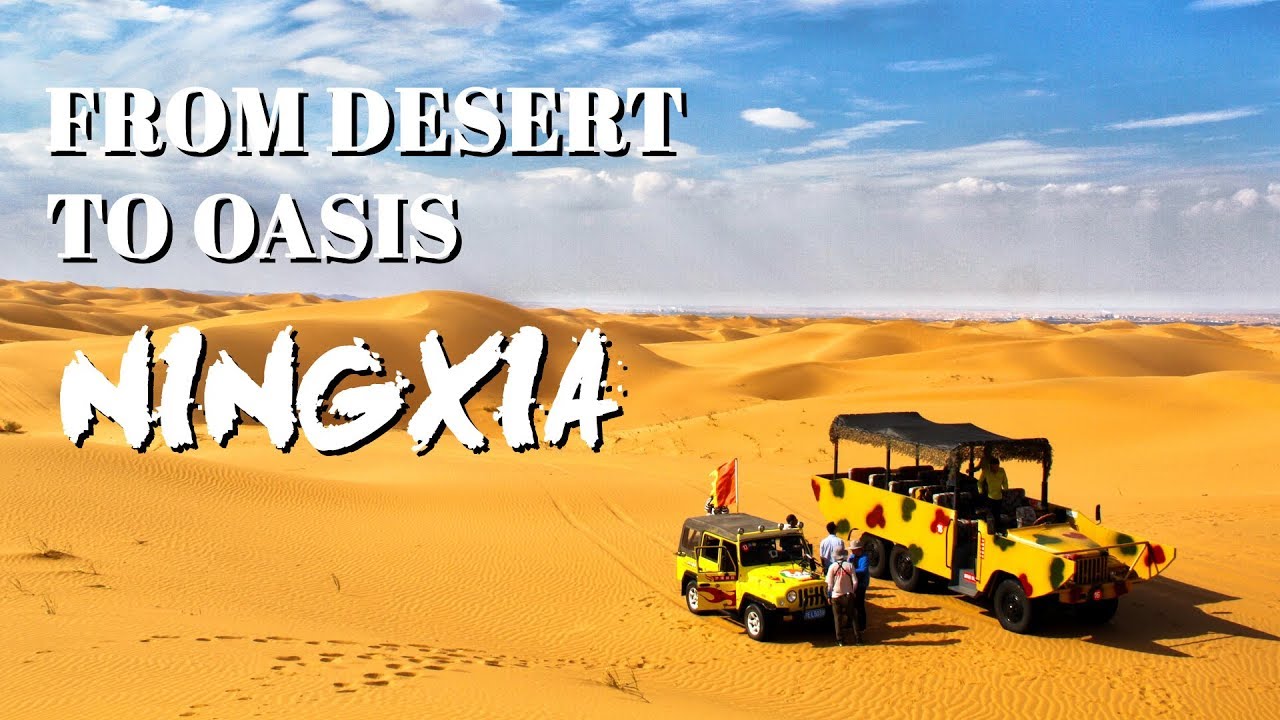 Travelogue: Ningxia - From Desert to Oasis