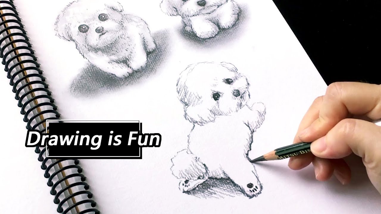 #25 速寫動物 / 畫小狗 / 畫比熊犬 / 鉛筆素描