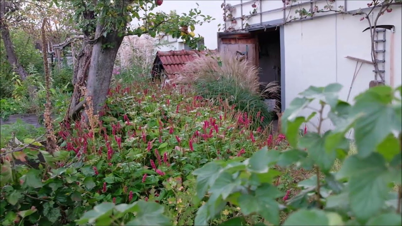 Garten Schneider / Pecoraro-Schneider; Rundgang im Staudengarten am ersten Oktober