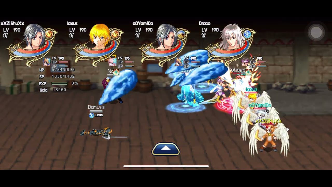 Wonderland M - 28r Event (16.01.2025)