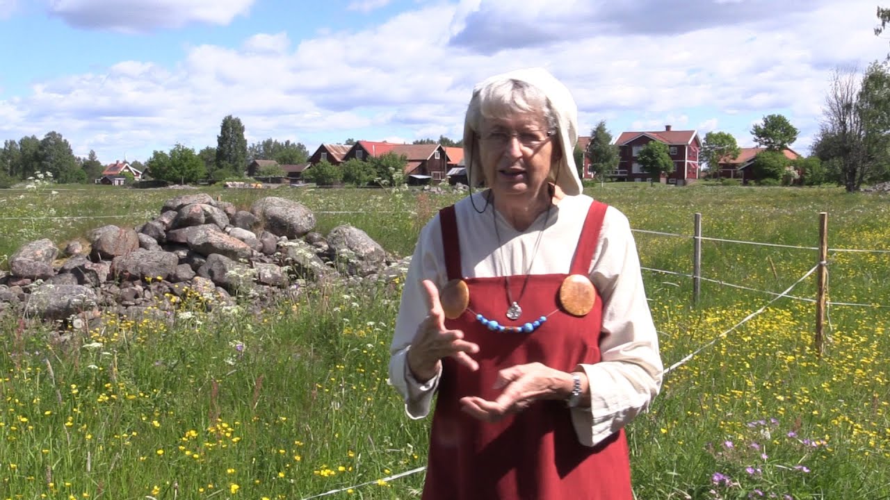 Rundvandring bland vikingagravar på Sollerön.