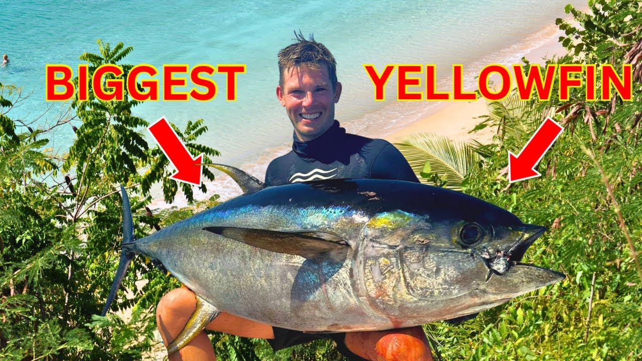 Spearfishing my BIGGEST Yellowfin Tuna | Costa Rica 🇨🇷