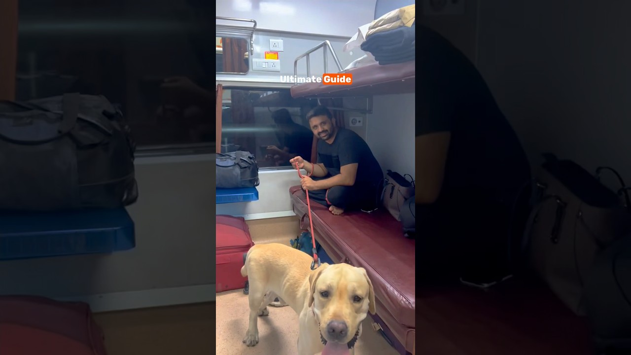 How to travel with your dog by Indian Railways #travel #train #dog