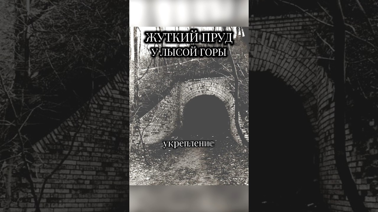 Пруд Лысогорского форта: здесь казнили людей #киев #страшныеистории #история #пруд #лысаягора