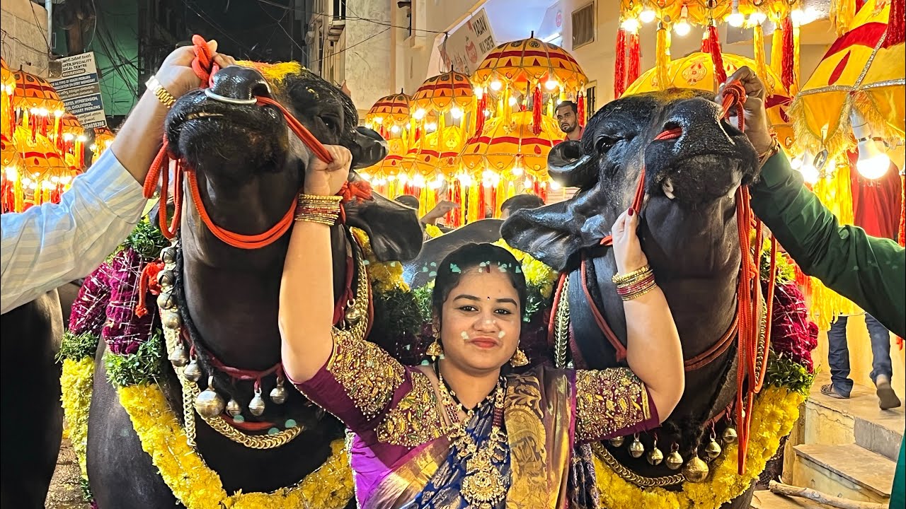 Khairatabad Sadar 2021 | Shahrukh Bull & Love Rana Bull at Madhu Yadav Sadar 2021