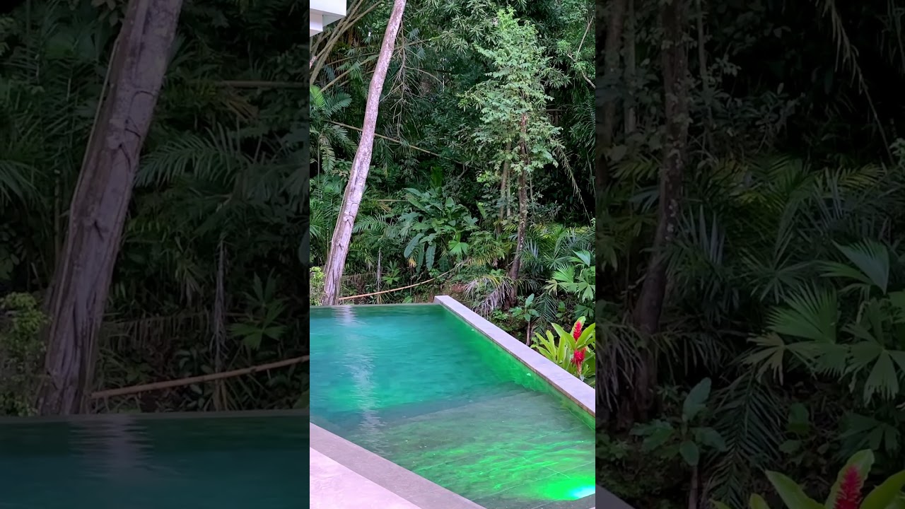 Modern Elegance Meets Nature: Belleza Verde 🌿🏡 
