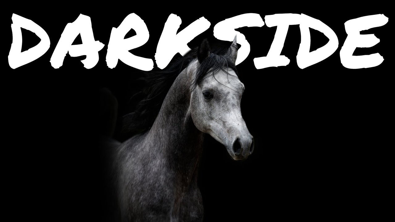 Equestrian Edit Video | Darkside [COLLAB]