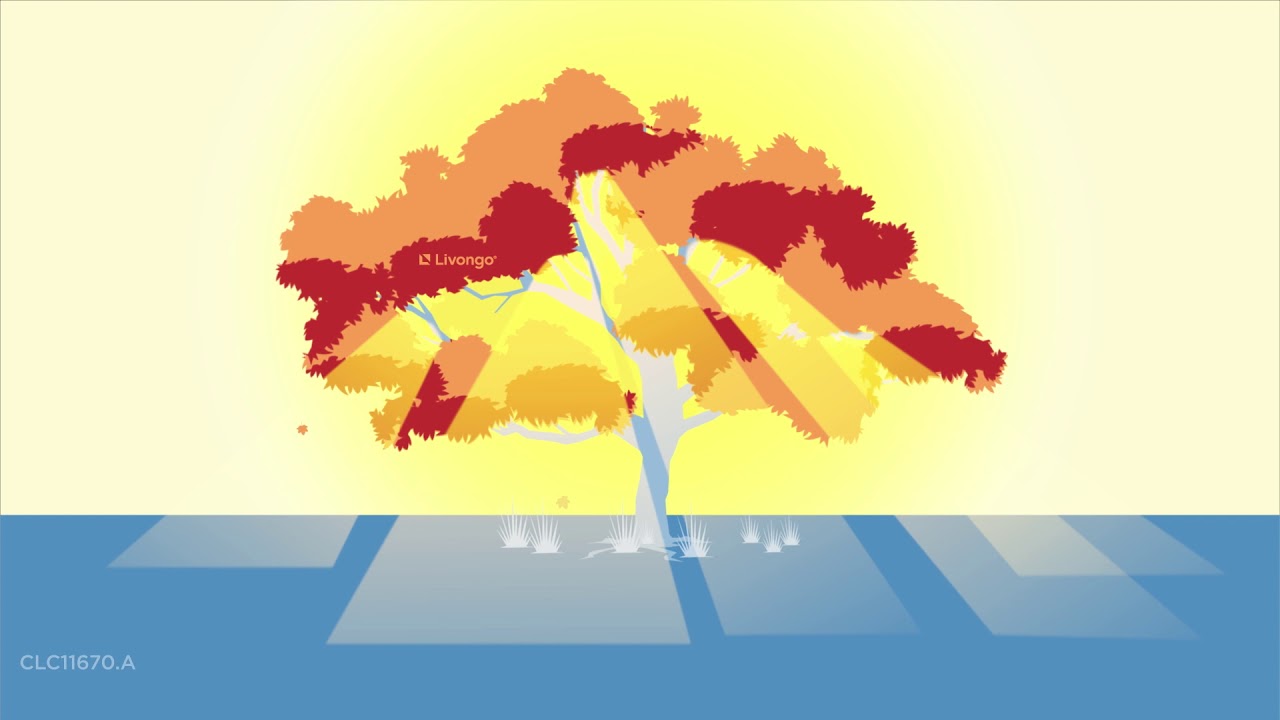 10-Minute Loving Kindness Meditation