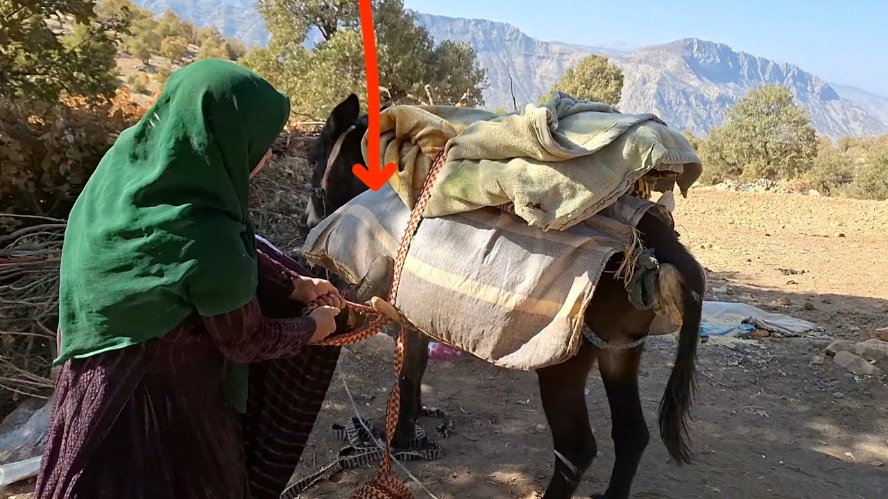 Unknown Nomadic Women of Iran | A Harsh Migration Through Dangerous Mountain Paths