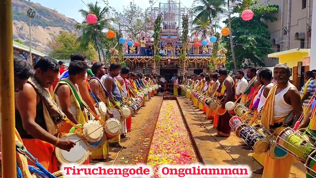 பம்பை அழைப்பு மாசி குண்டம் திருவிழா திருச்செங்கோடு சின்ன ஓங்காளியம்மன் கோவில்  அறுபது அடி குண்டம்
