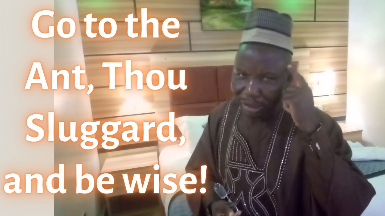 The Philosophy of the Ant: The Ant & The Sluggard