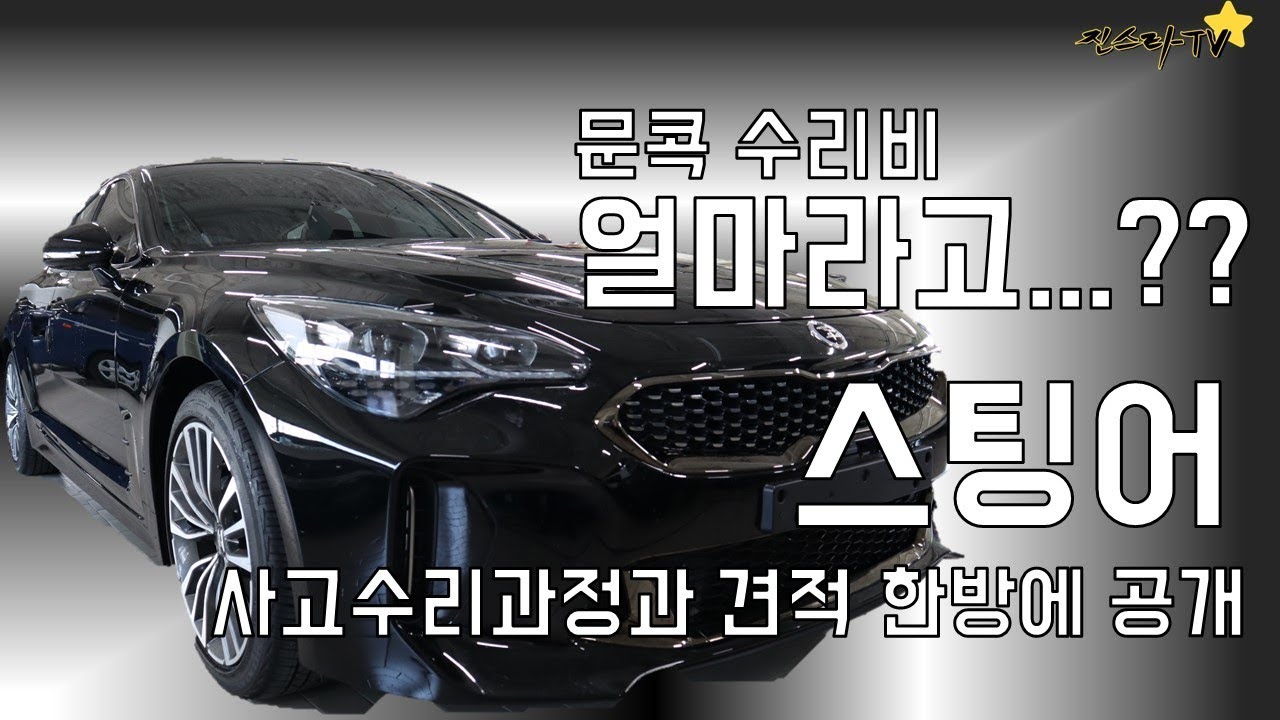 [진스타TV]스팅어 문콕당했는데 수리비가 얼마라고...?? 수리과정 견적 공개!  KIA - Stinger