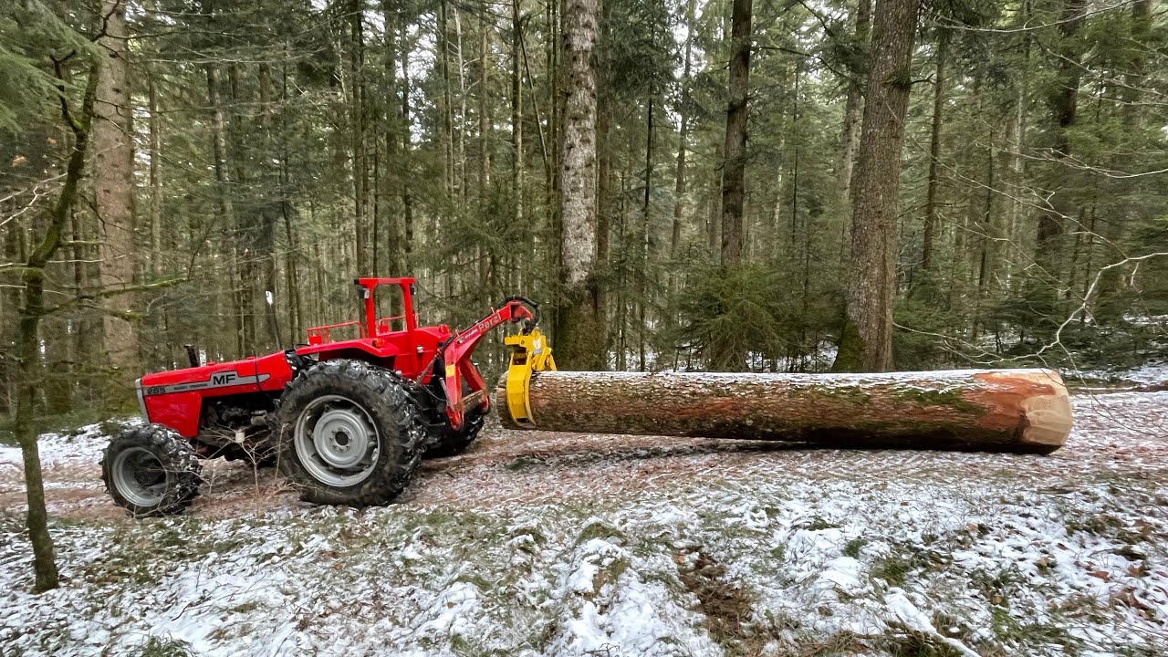 Massey Ferguson 285 beim Holzrücken