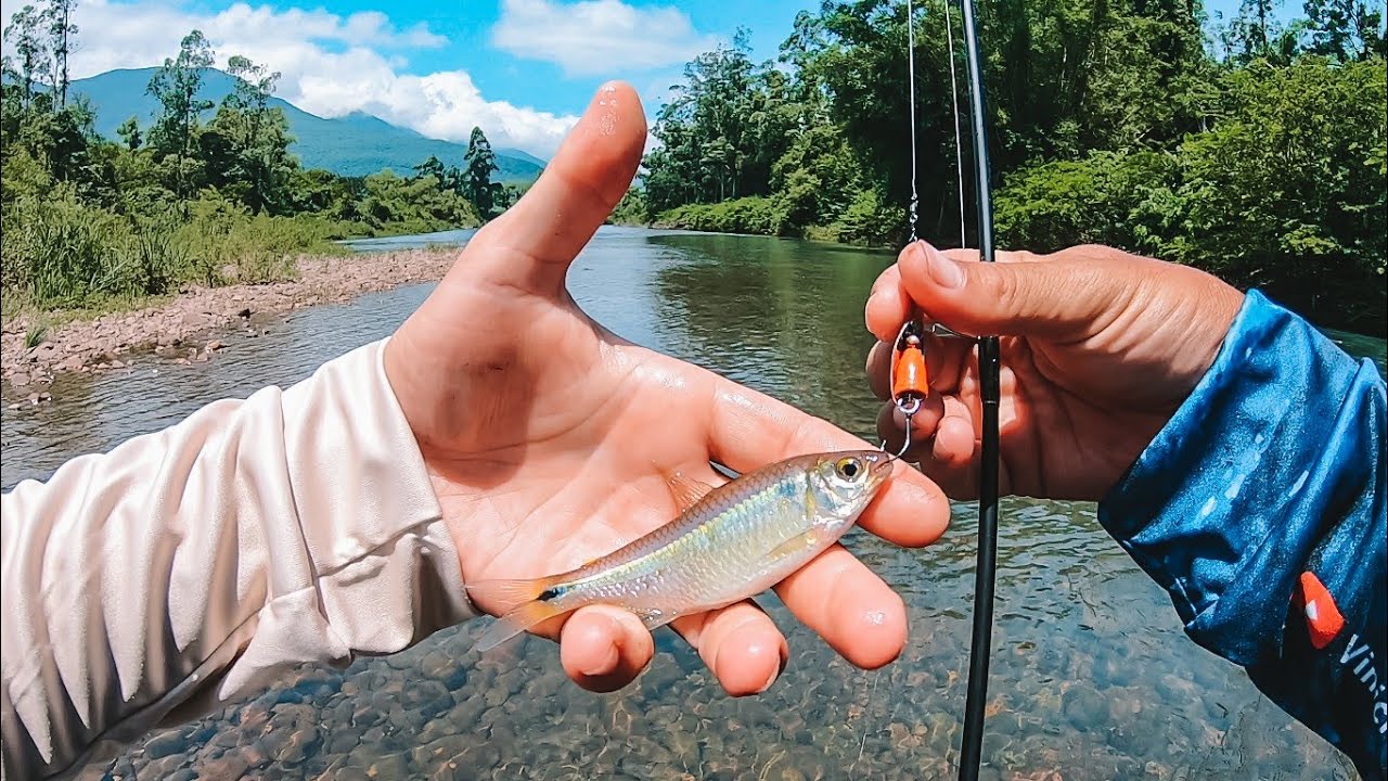 PESCARIA ULTRA LIGHT EM RIO DE CORREDEIRAS COM ÁGUAS CRISTALINAS!