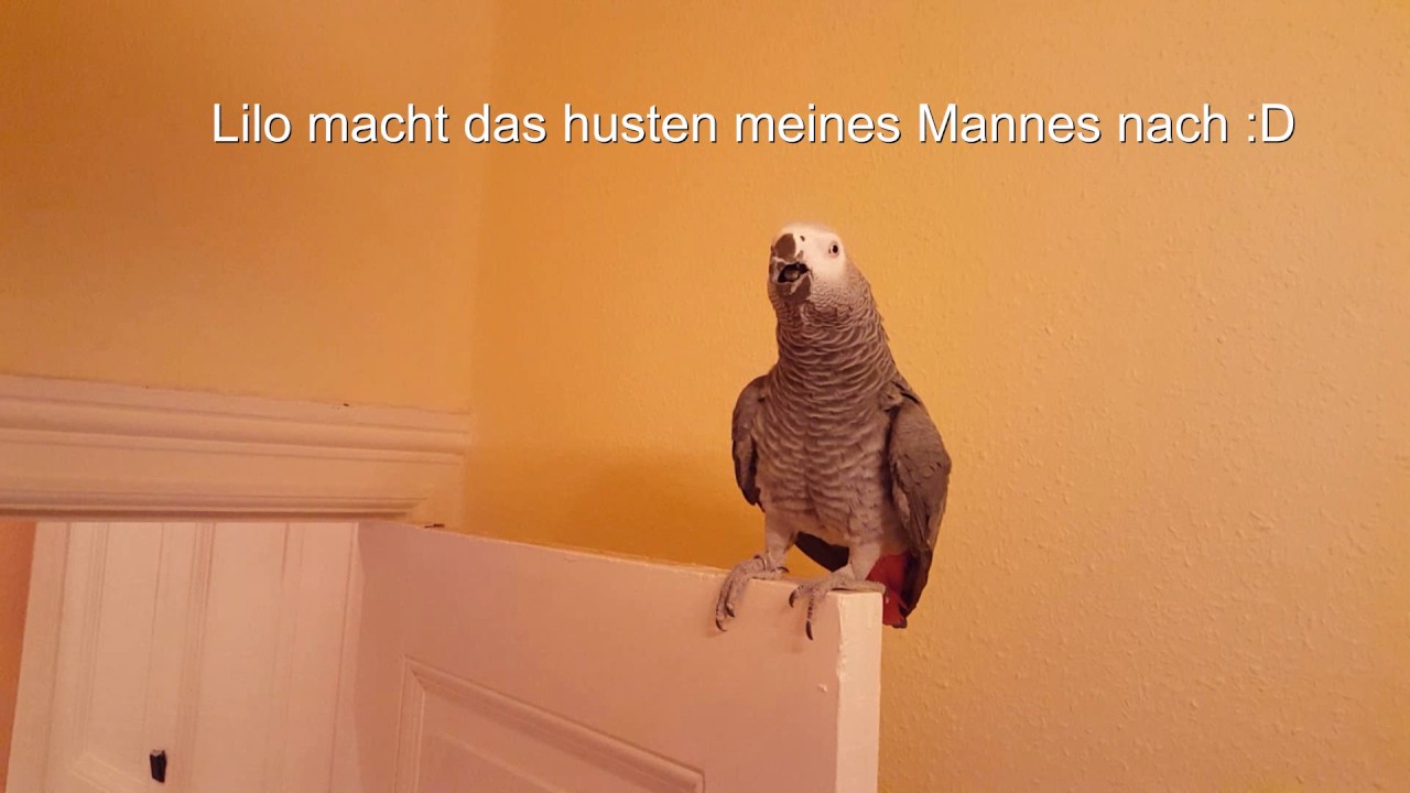 Lilo kleines Zickchen