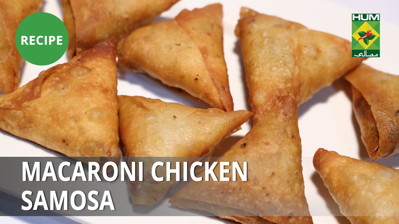 Macaroni Chicken Samosa Recipe | Masala Mornings|  Shireen Anwar | Desi Food