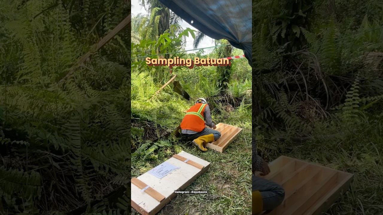 Sampling Batuan 😎⚒️ 