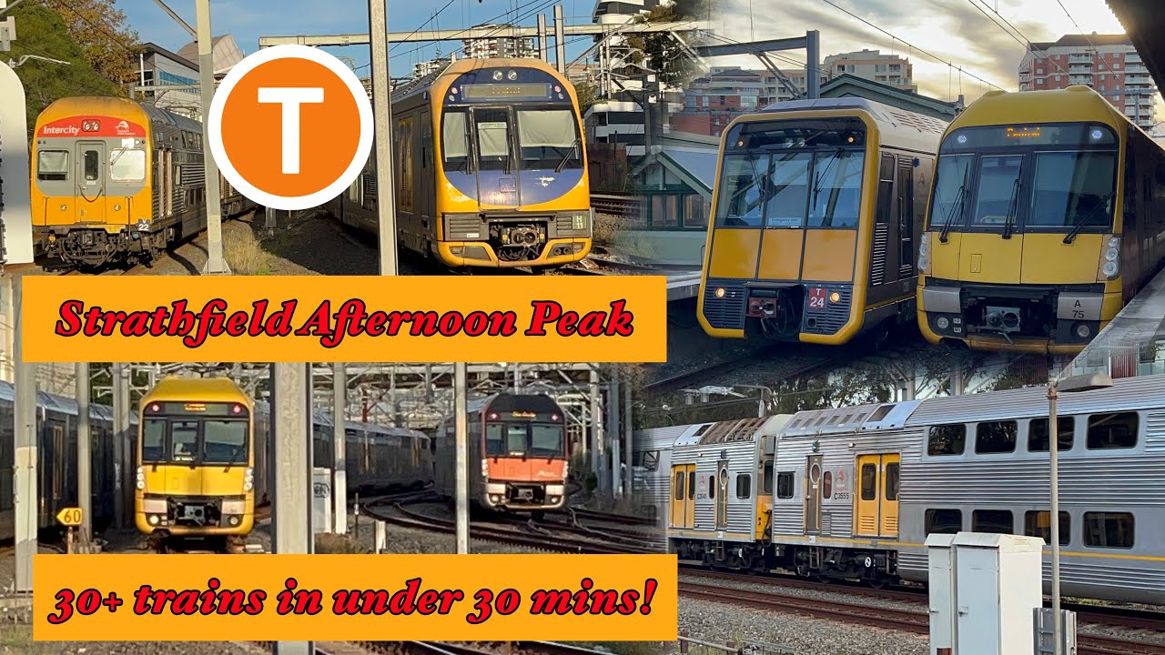 Sydney Trains Video #114 - Strathfield Afternoon Peak Trains