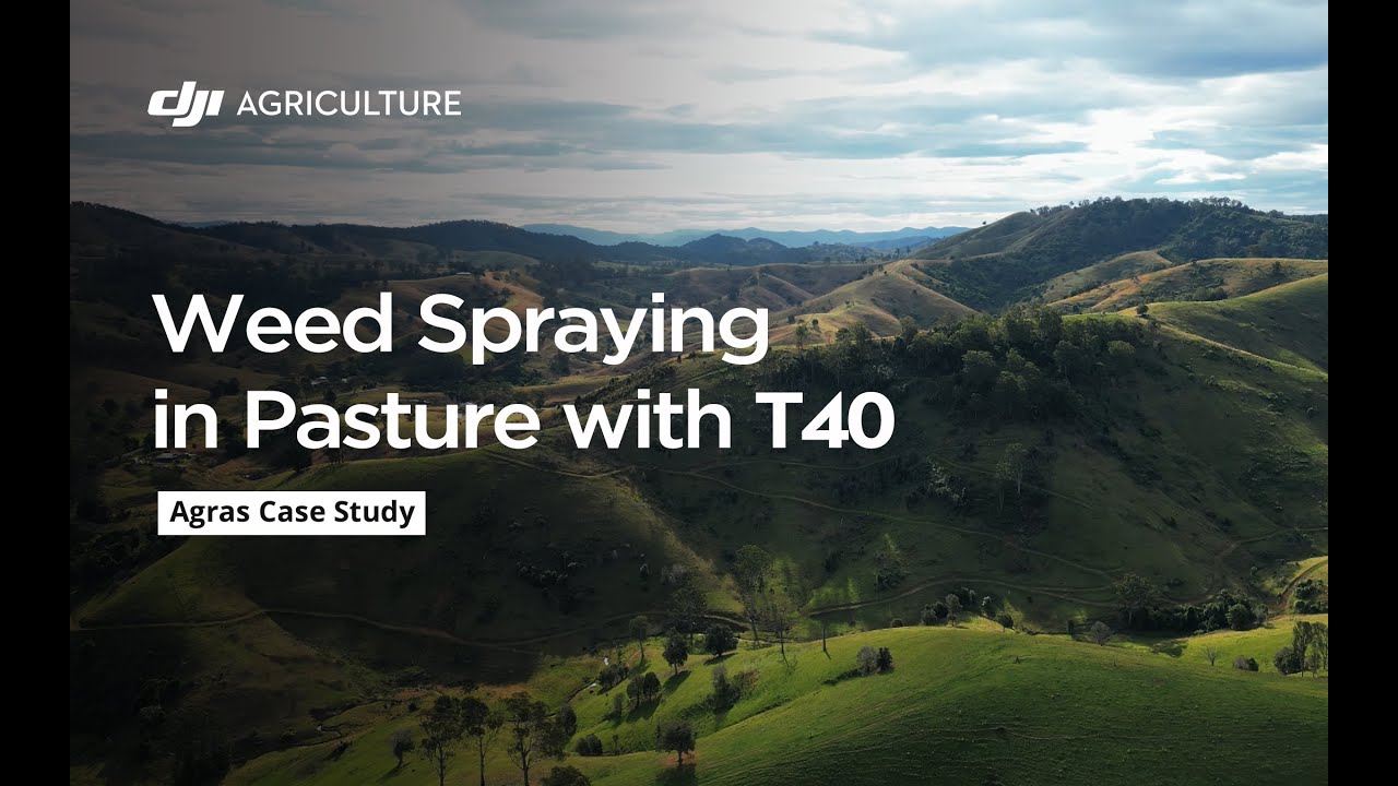 Weed Spraying in Pasture with Agras T40 | DJI Agras Case Study