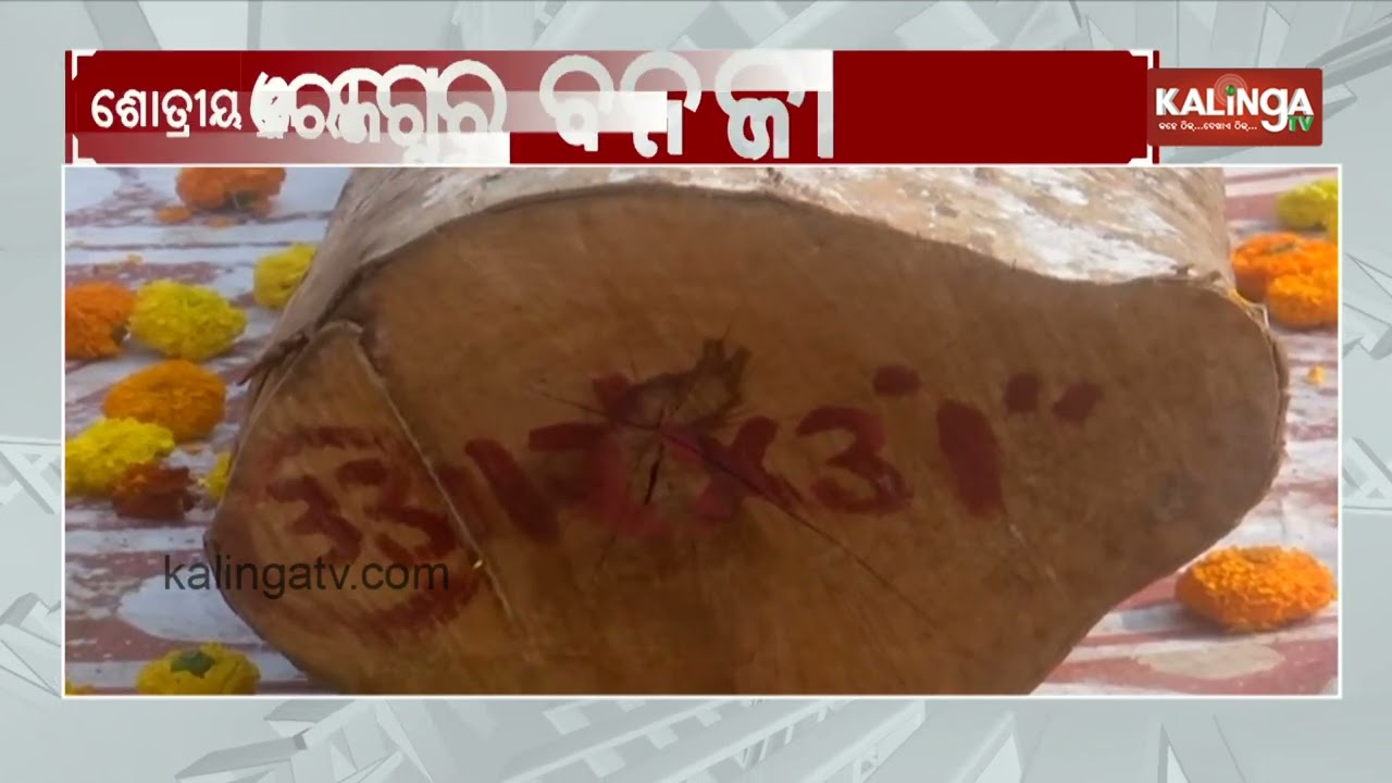 Rath Yatra 2026: Preparations Begin Amid Traditional Puja on Basant Panchami | Kalinga TV