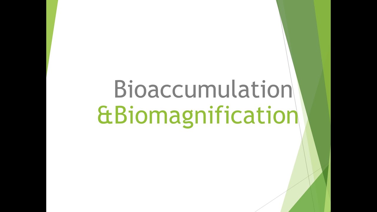 Bioaccumulation and Biomagnification