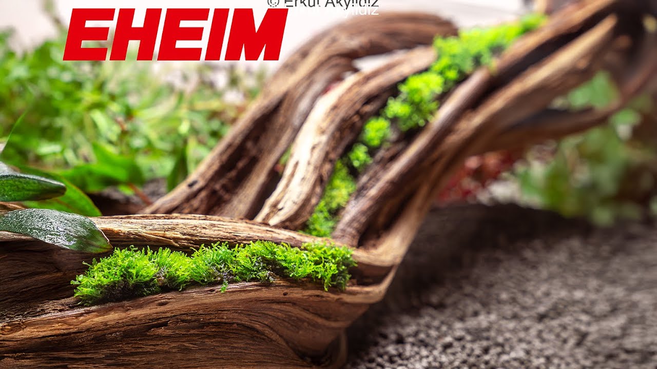 Настройка неглубокого акваскейпа – с Eheim Classic Vario