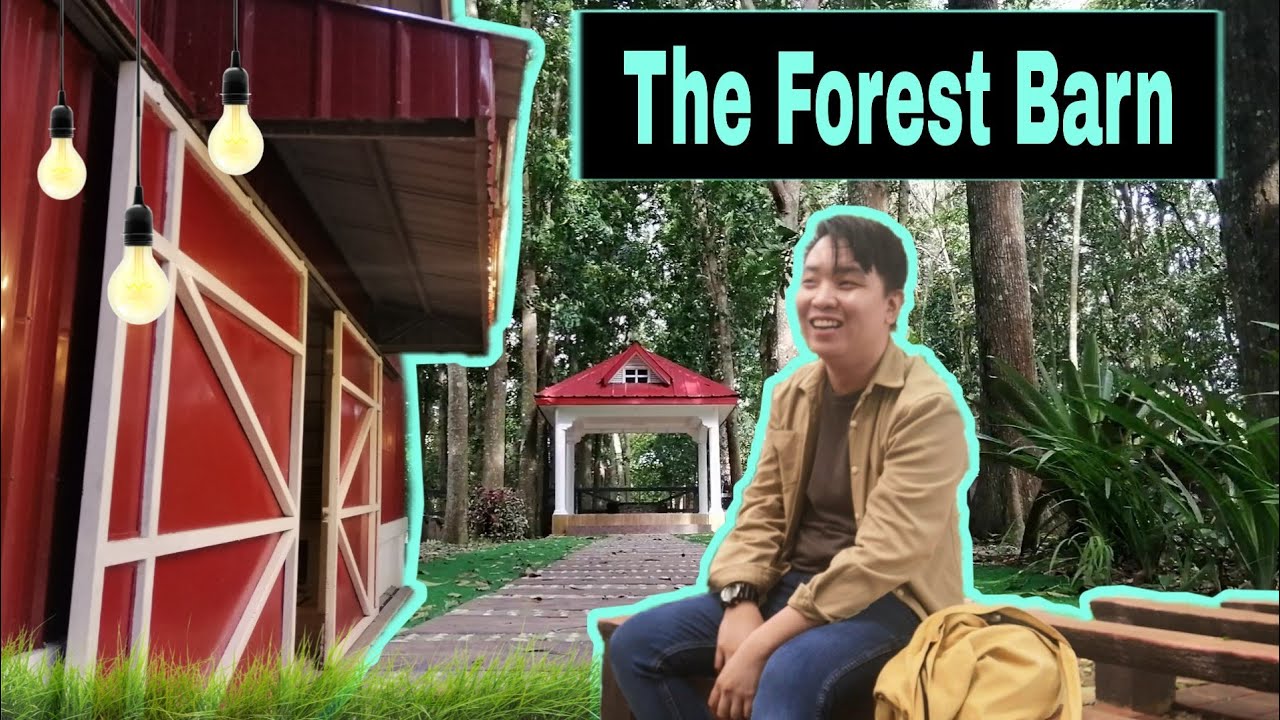 The Forest Barn + Tagaytay side trip (Raw Vlog) | gratefulouise