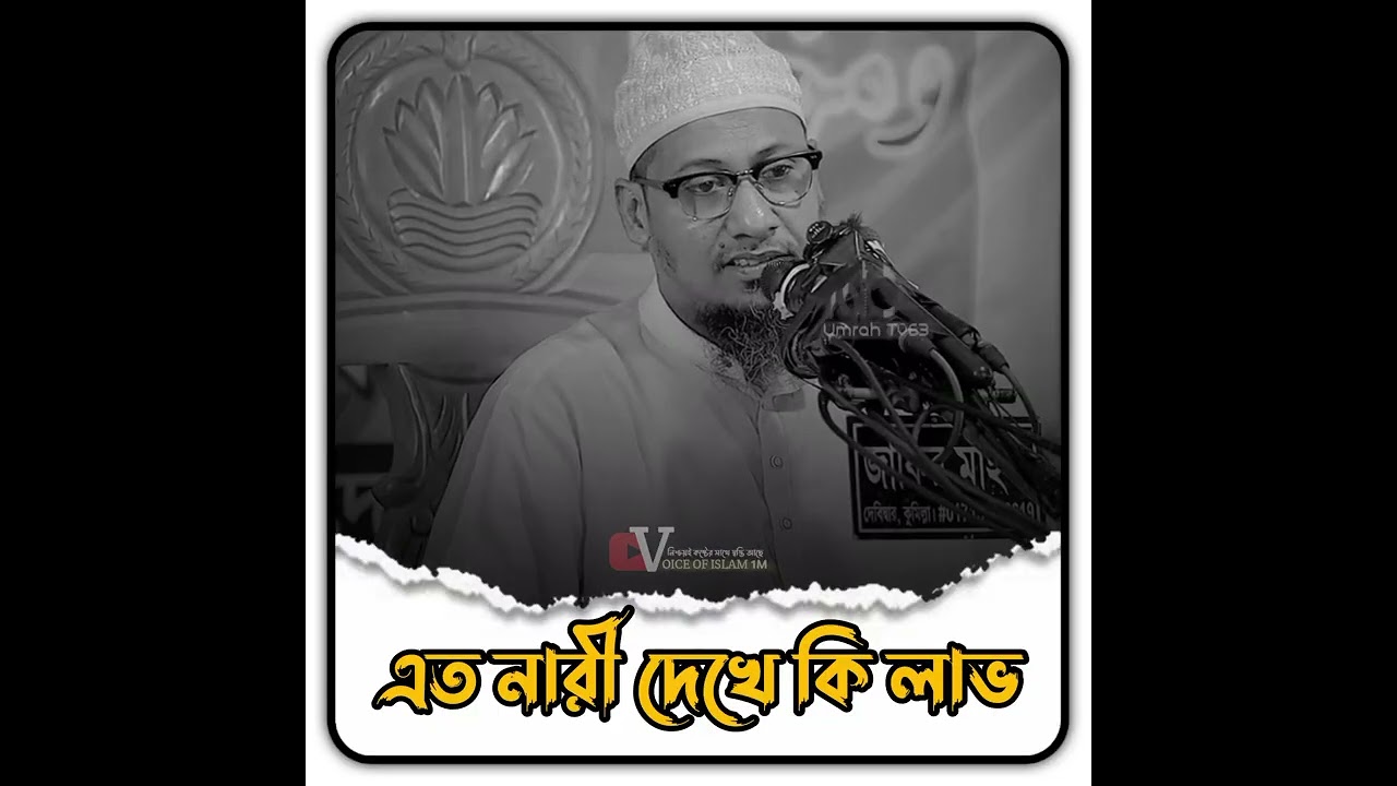 প্রতিটা কথা যেন হীরার চাইতে দামি  😭🥀মাওলানা আনিসুর রহমান আশরাফী ওয়াজ 