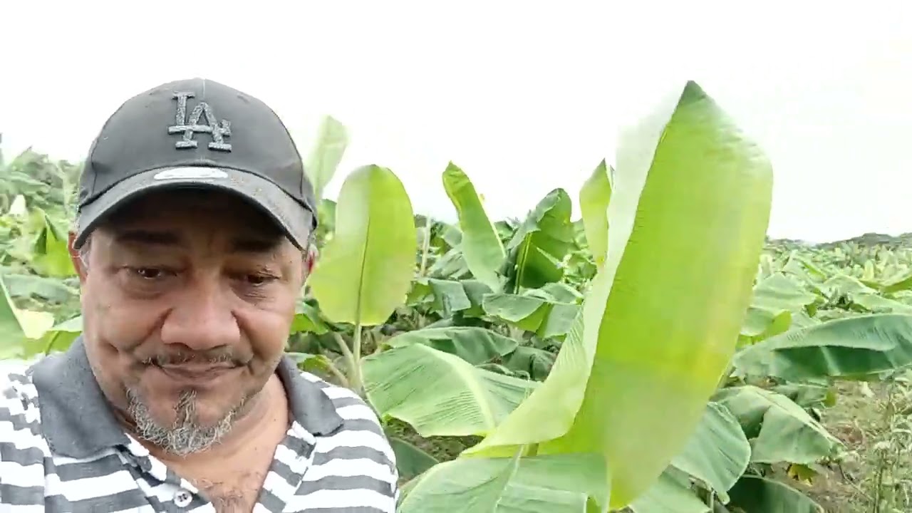 Visitando un campito de santiago República la cienega segunda parte 
