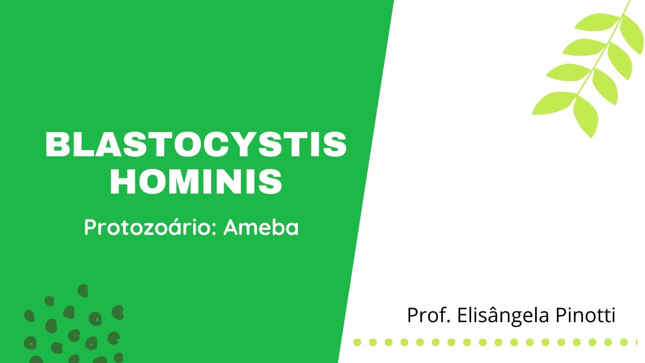 Blastocystis hominis