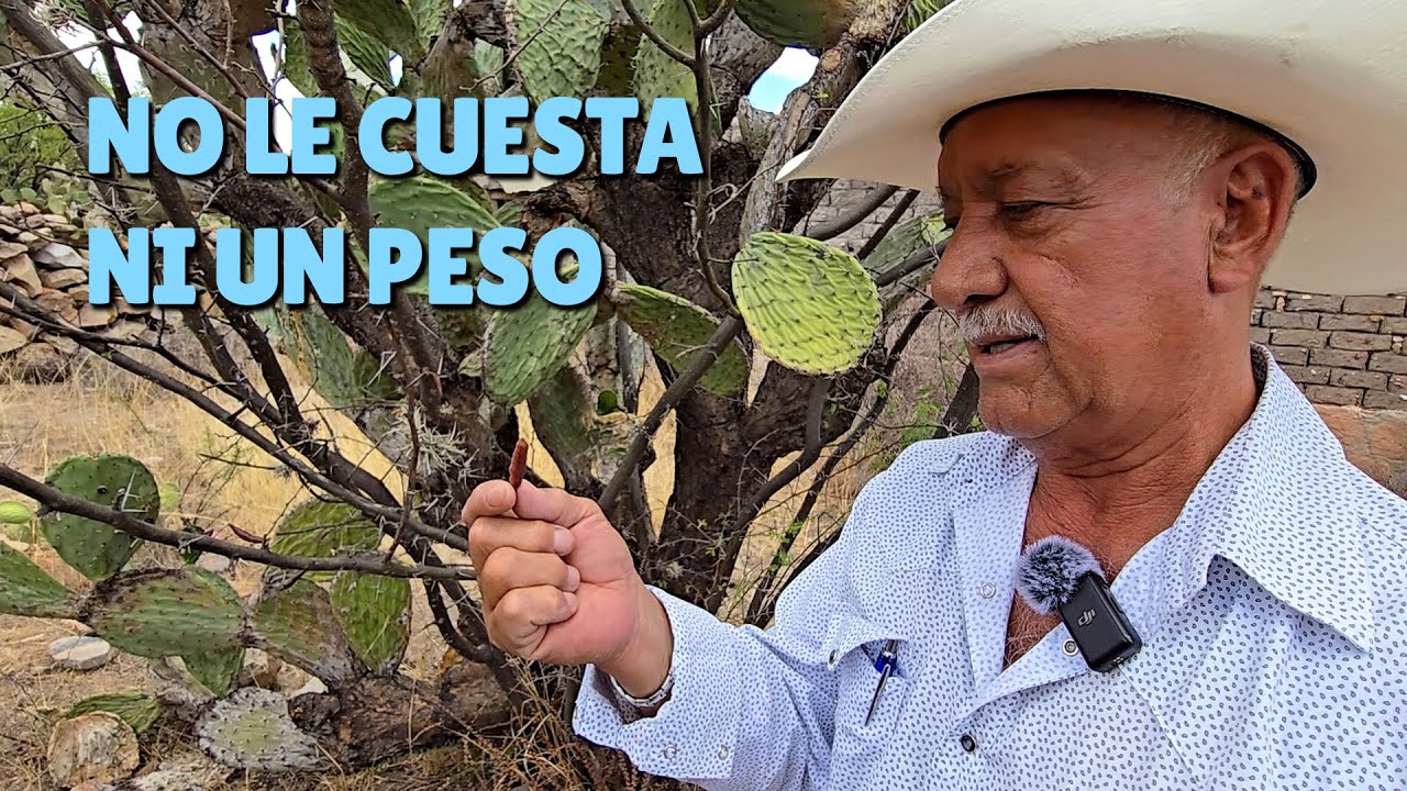 NO SE QUEDE SIN SUS DIENTES, LA AYUDA puede ESTAR EN SU CASA