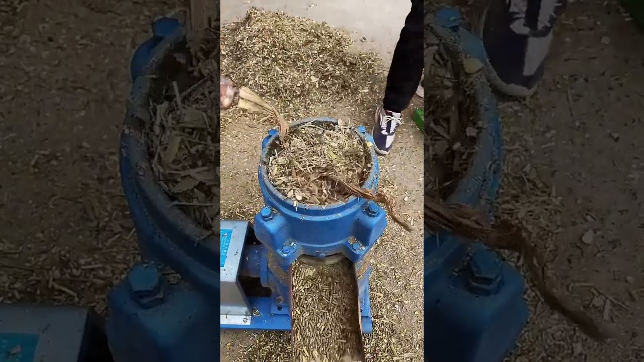 Four rollers feed pellet making machine #fyp #fcnfm