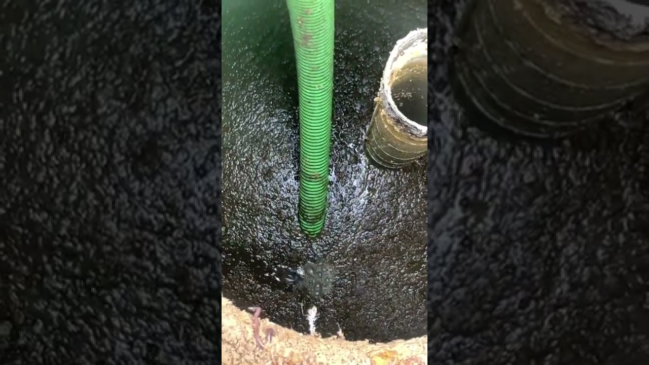 This is what rid x can do for you sludge