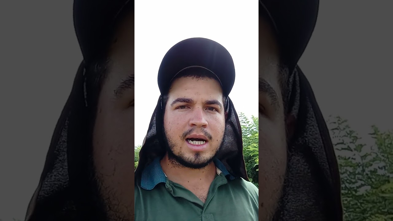 3 fontes de renda para sitio pequeno