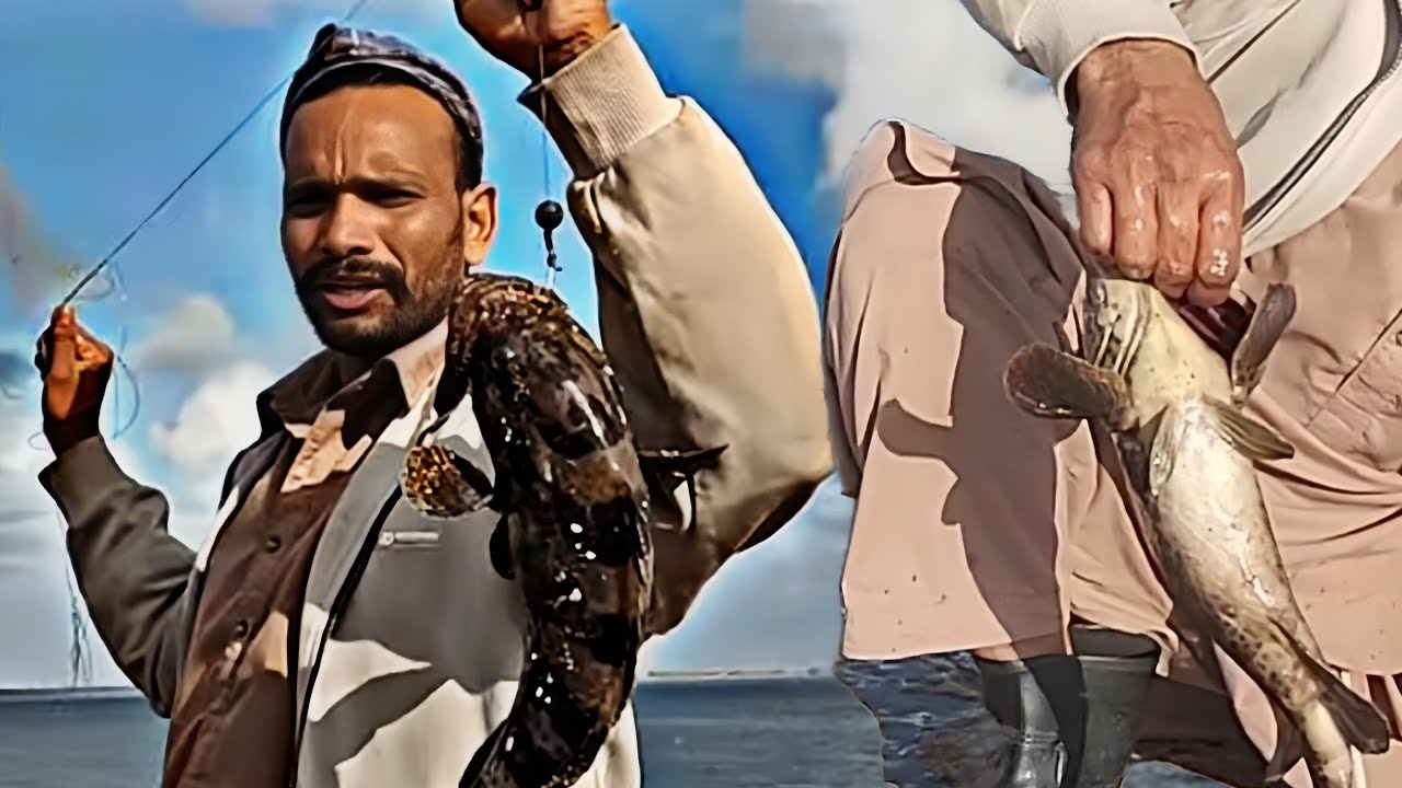 Fishing Video | Best Fishing Techniques | Machli kasa pakadte Hain Dekhiye