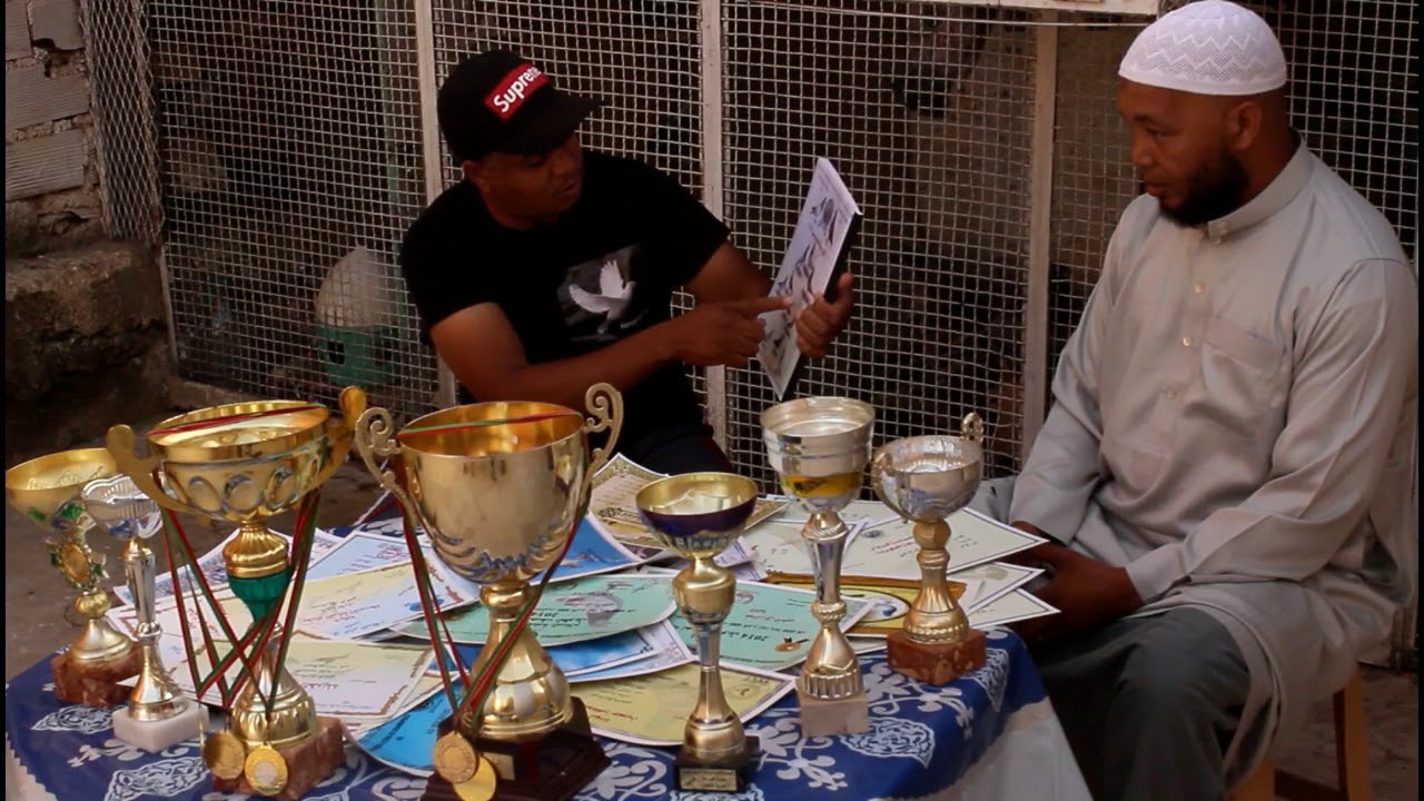 الصحراوي مع البطل (عبد الرزاق الدهبي)وتعريف بأهم الإنجازات لسباق الحمام الزاجل