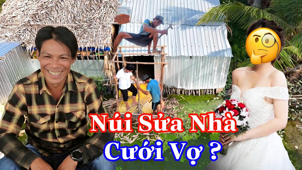 NÓNG NÓNG! Núi Leo Dừa Sửa Nhà Có Phải Sắp Cưới Vợ Chăng