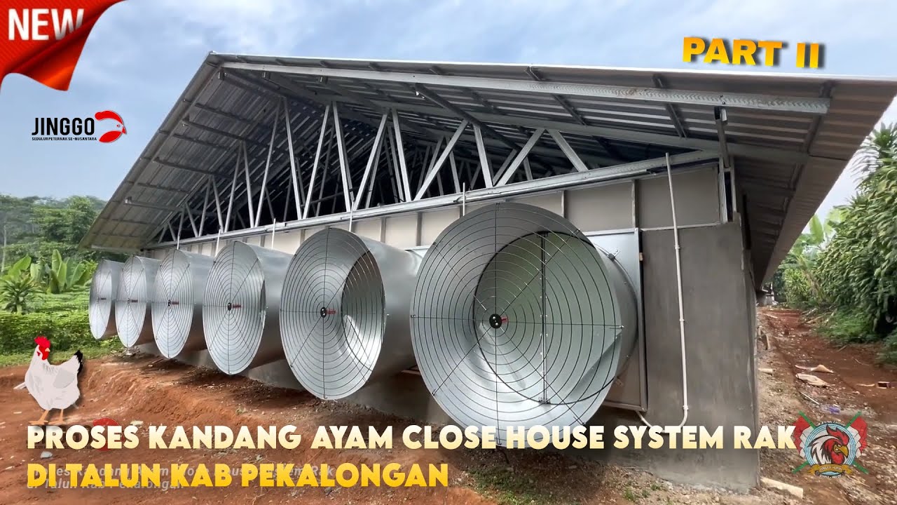 Proses Kandang Ayam Close House System Rak di Talun Kab Pekalongan