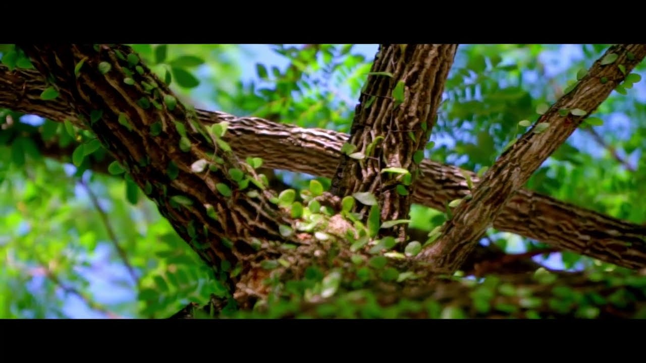 First Time Using SLOG-2 On Sony a6300, Cinematic Video Color Grading