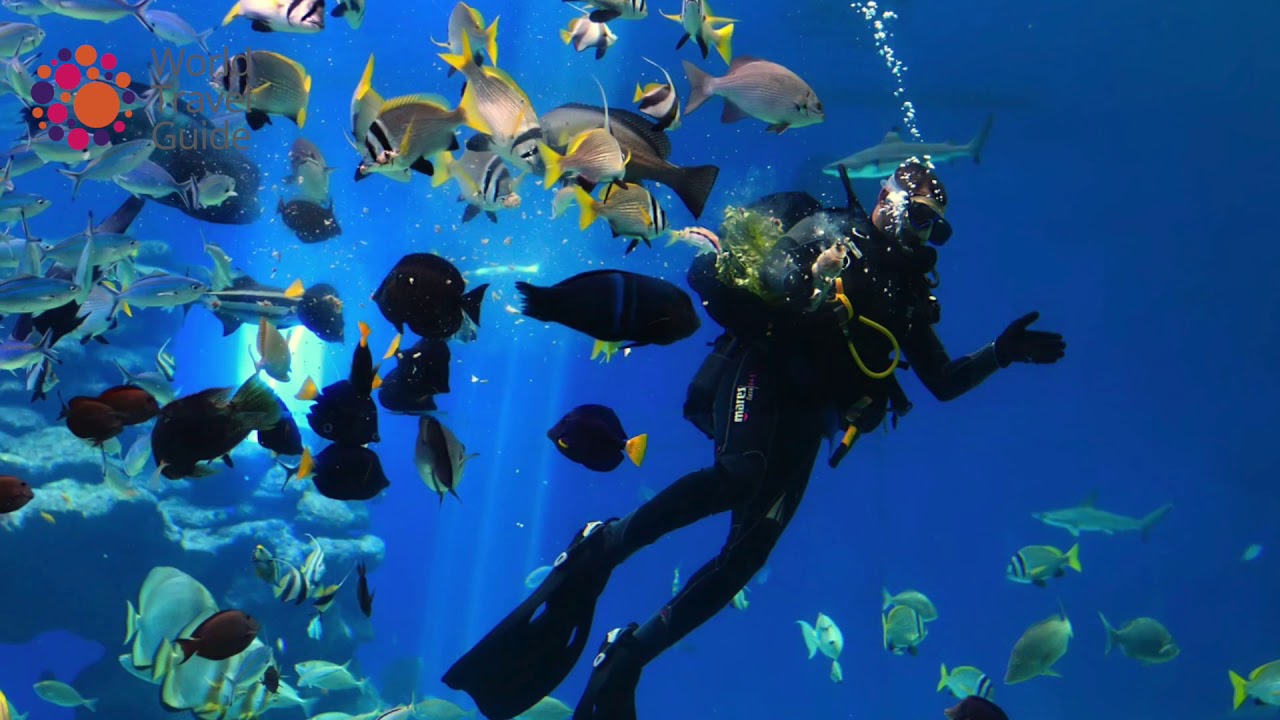 Underwater Observatory in Eilat, Israel