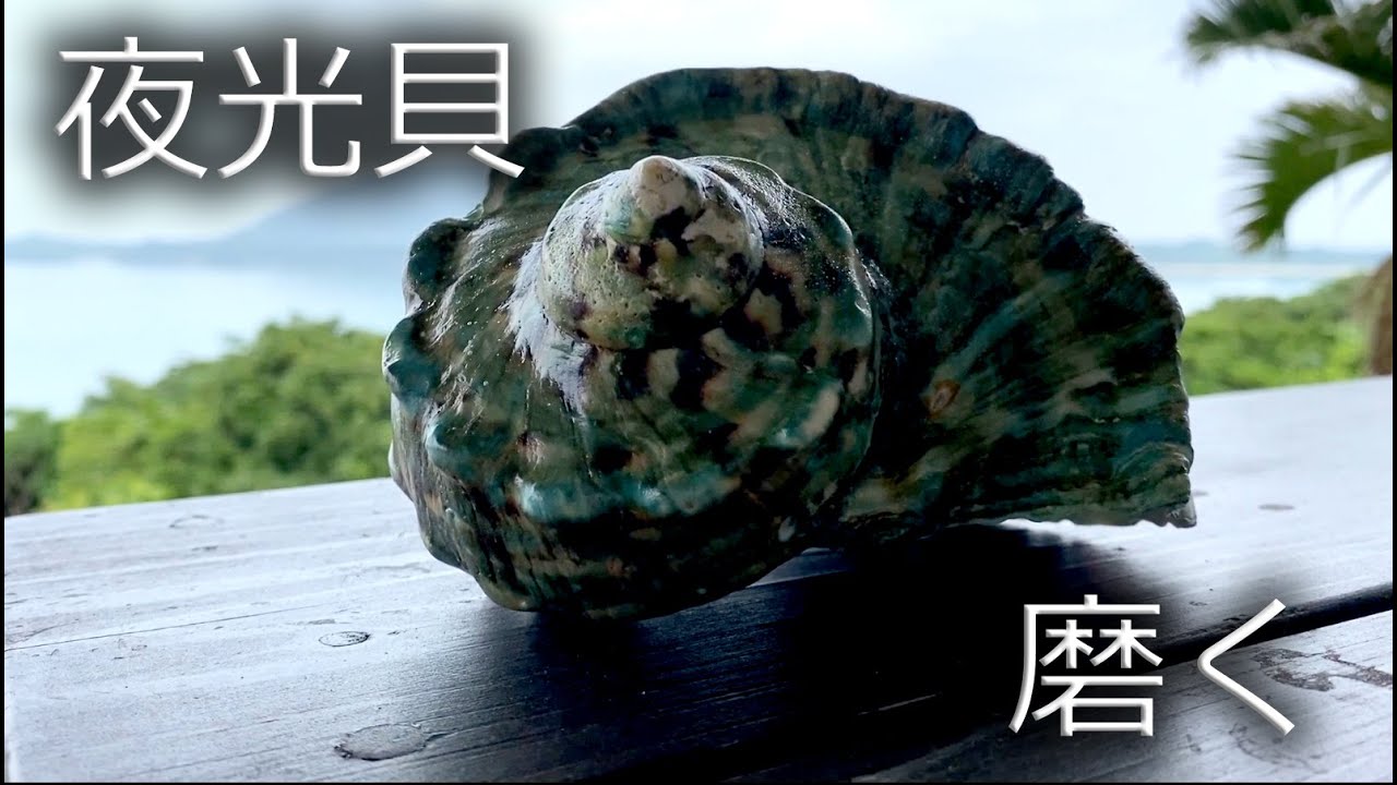 夜光貝磨く