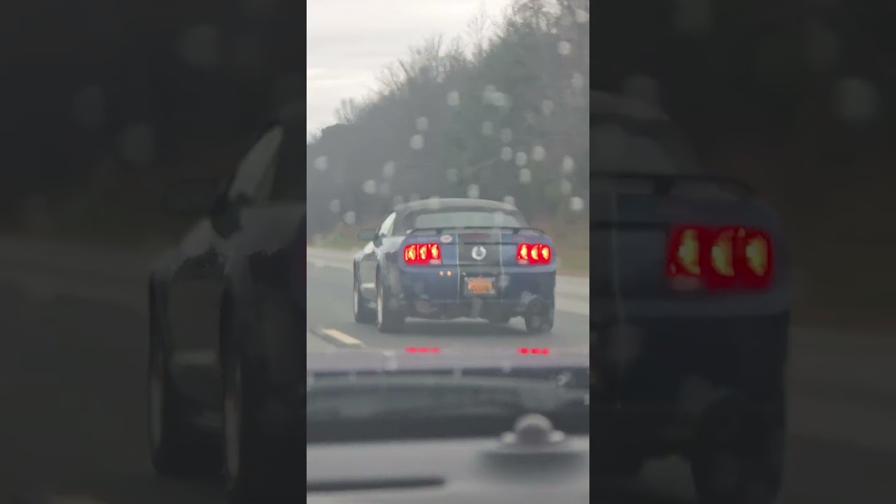 Driving Plummy alongside Mom and Dad