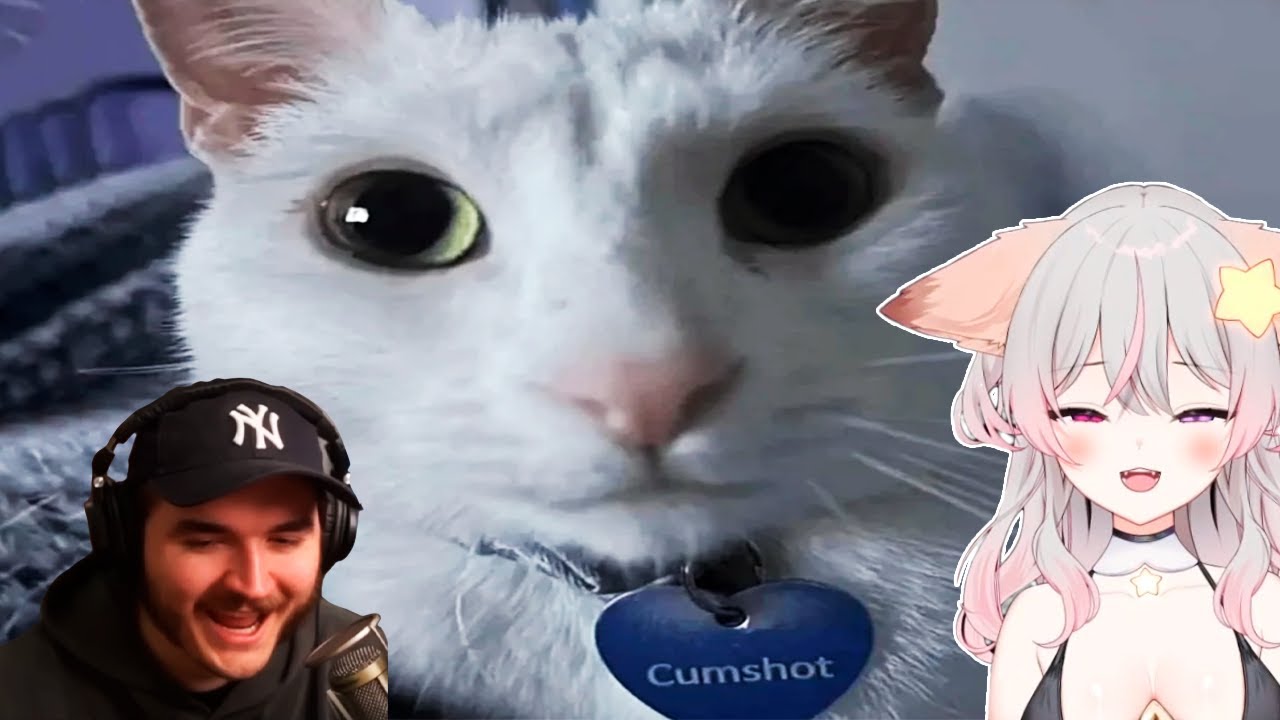 Anny Reacts to Reaction Schlatt on funny cats | Try not to Laugh challenge